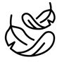 Lichtgewicht
