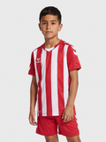 hmlCORE XK STRIPED JERSEY S/S KIDS