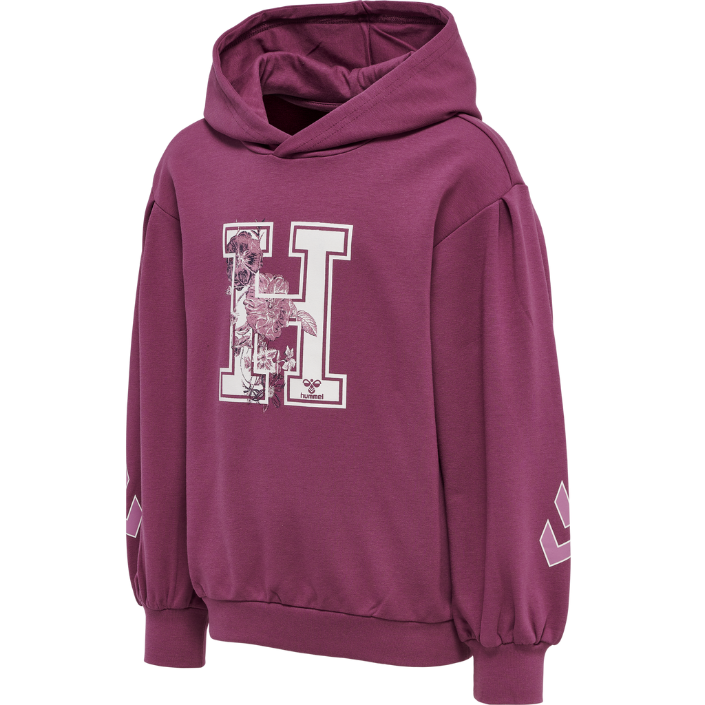 hmlASTROLOGY HOODIE