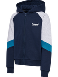 hmlJR LOOSE BLOCKED ZIP HOODIE