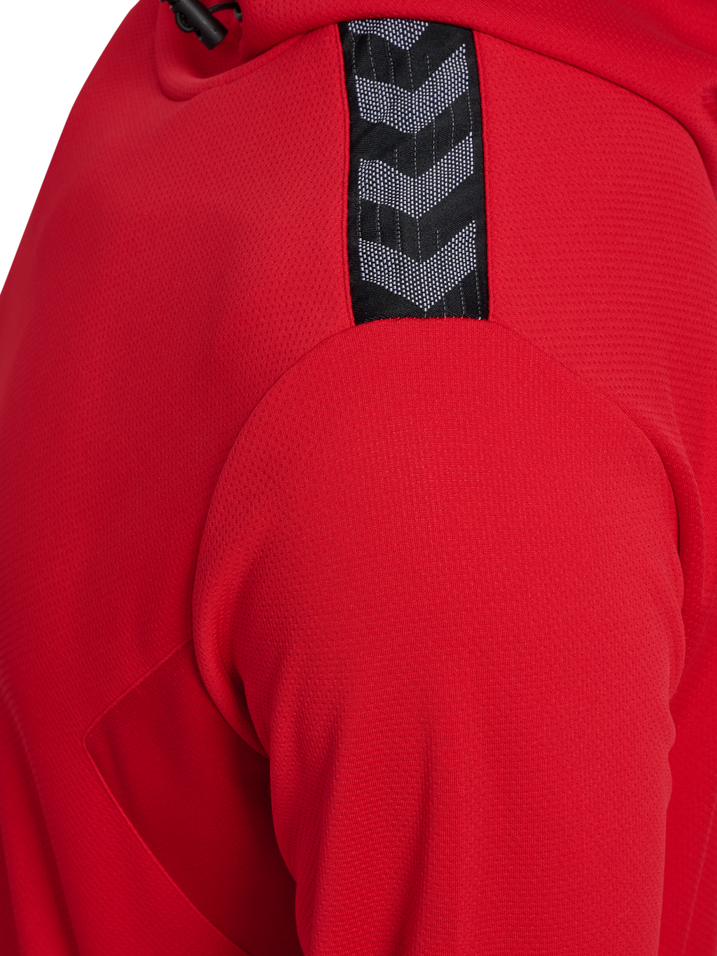 hmlAUTHENTIC PL HOODIE