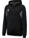 hmlAUTHENTIC PL HOODIE KIDS