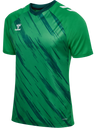 hmlMATCH TRIUMPH JERSEY S/S