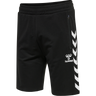 hmlRAY 2.0 SHORTS