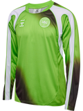 DBU-ALIS 26 GK JERSEY L/S