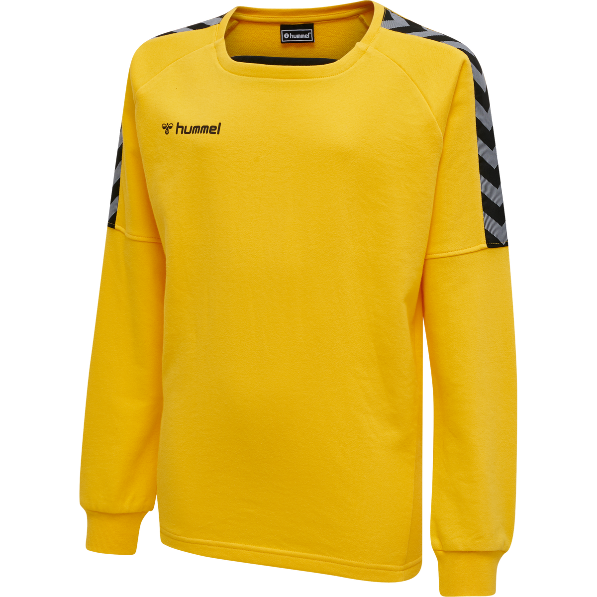 hmlAUTHENTIC KIDS TRAINING SWEAT