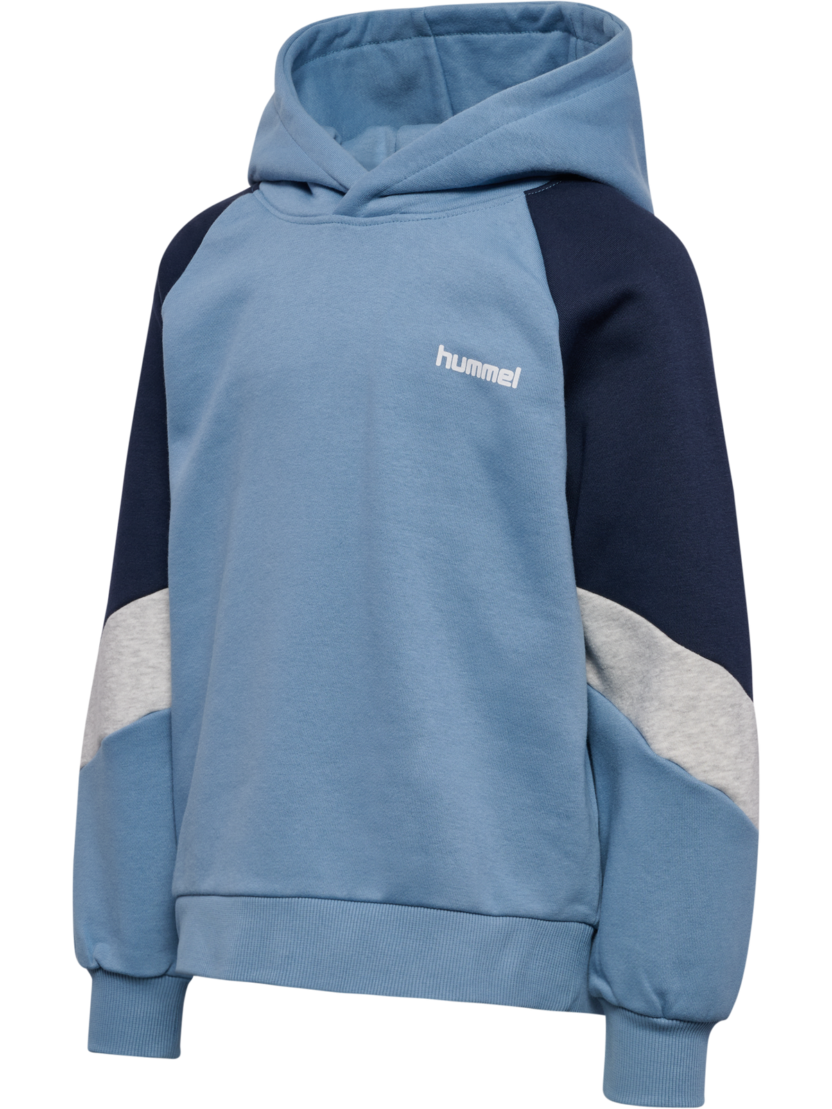 hmlJR LOOSE BLOCKED HOODIE
