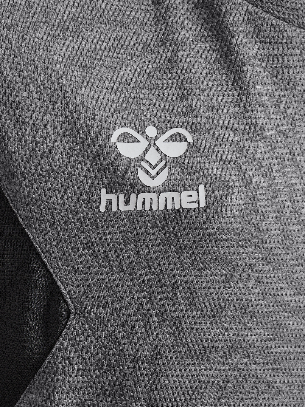 hmlAUTHENTIC PL HOODIE KIDS