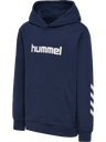 hmlJR REG LOGO HOODIE