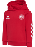 hmlJR REG DBU HOODIE